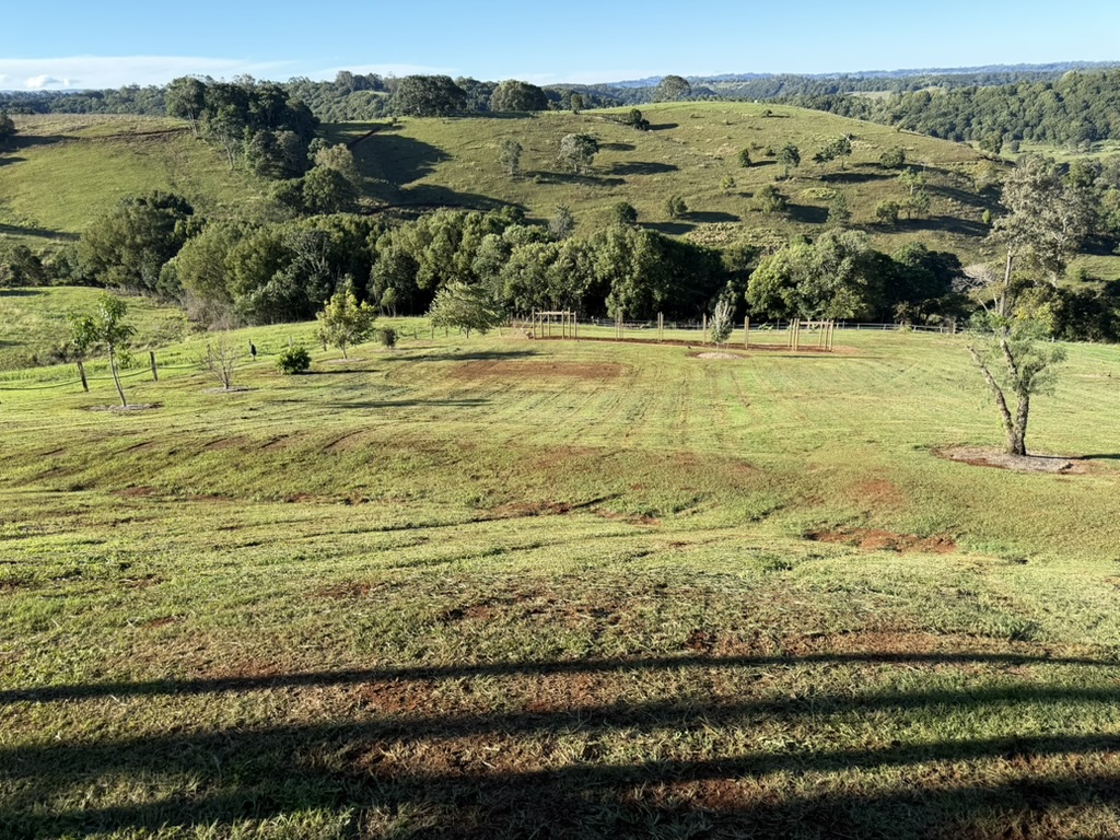 The Orchard