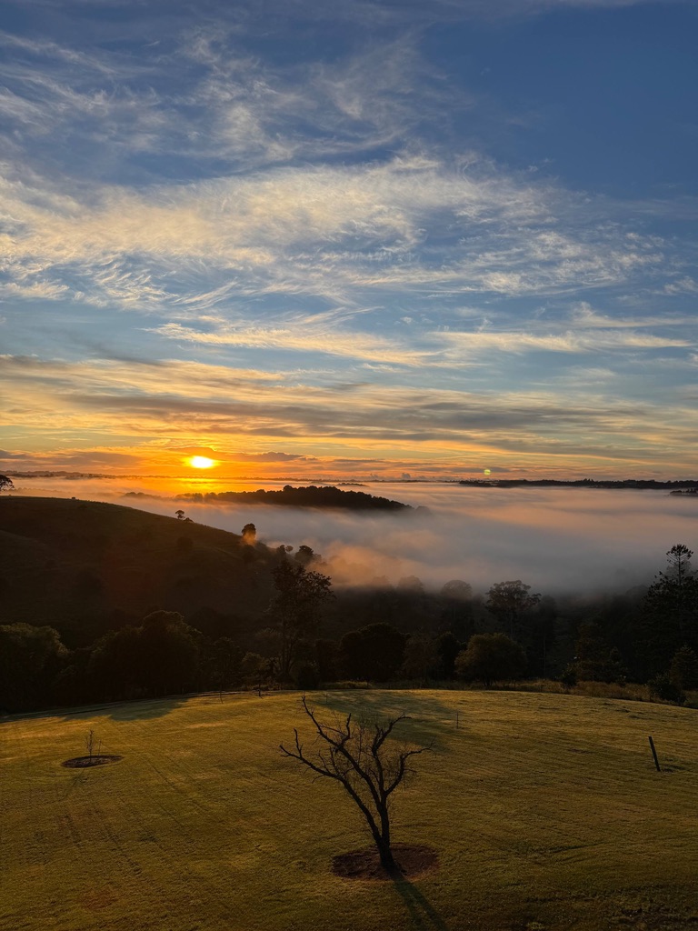 Our Story - Hinterland Harmony Estate